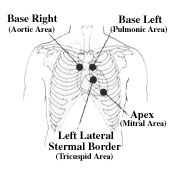 Techniques of Auscultation: a sequence of auscultation